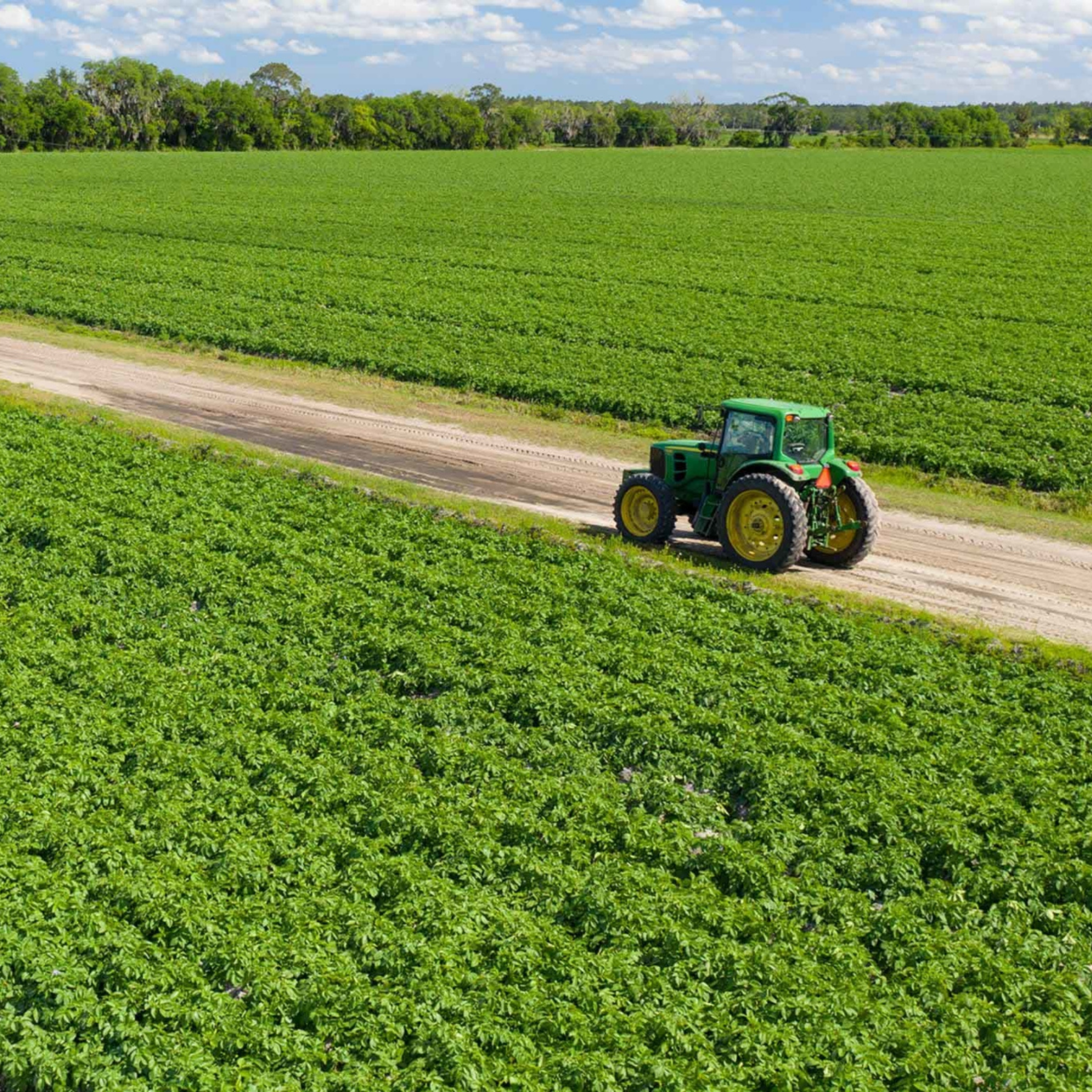 Florida’s Disappearing Farmland: Why It Matters More Than Ever